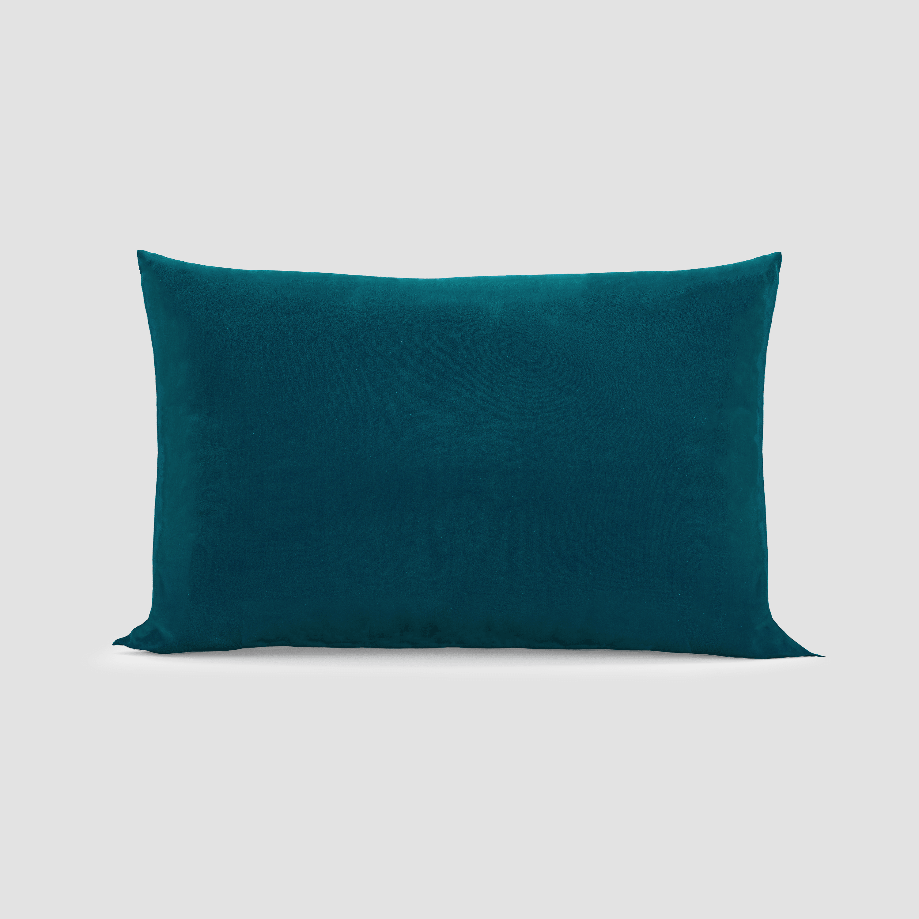 Simple Scatter Cushion Rectangular Flown the Coop